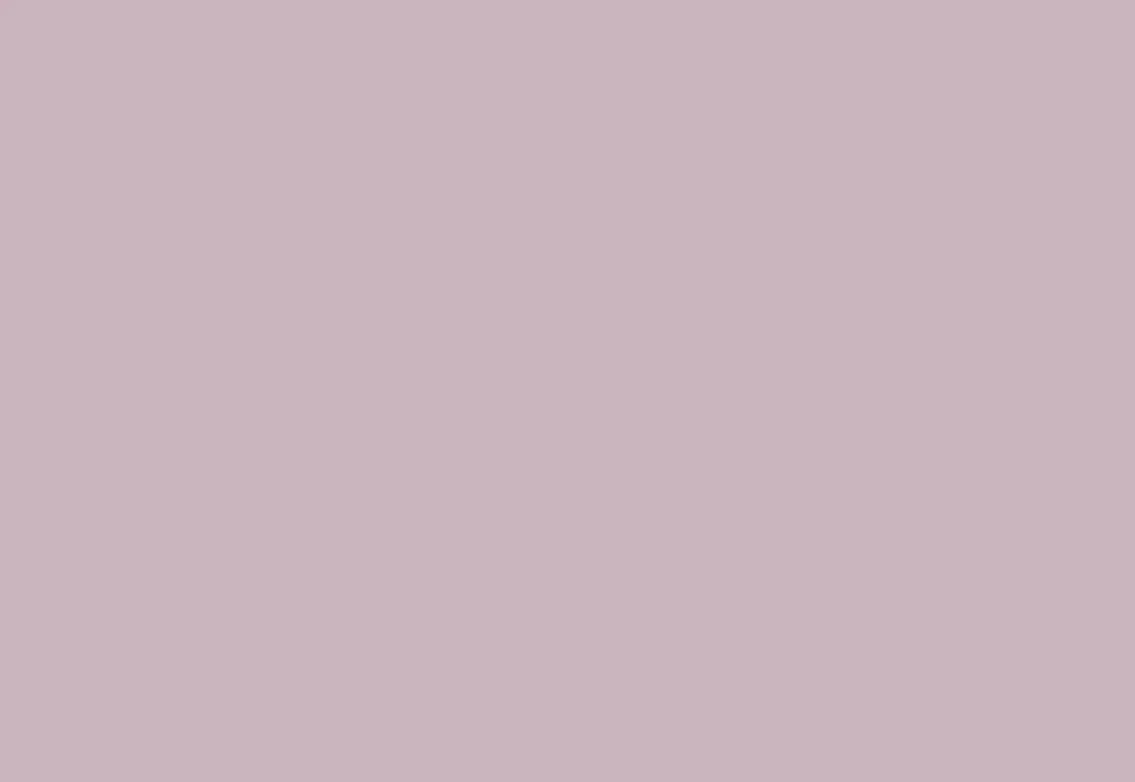 Decobase Paint 1 l - Image 9